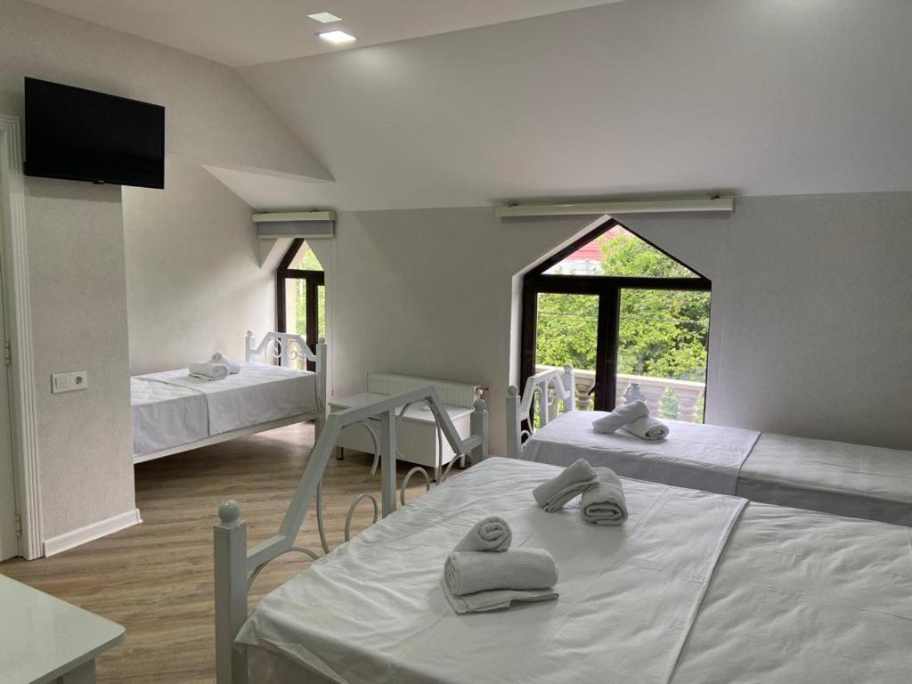 Viva Hotel Gabala With Outdoor Pool ,Sauna And Waterfall 盖贝莱 外观 照片